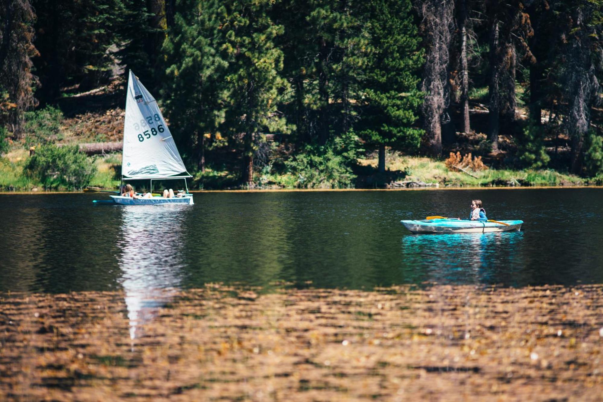 Montecito Sequoia Lodge Wilsonia Εξωτερικό φωτογραφία