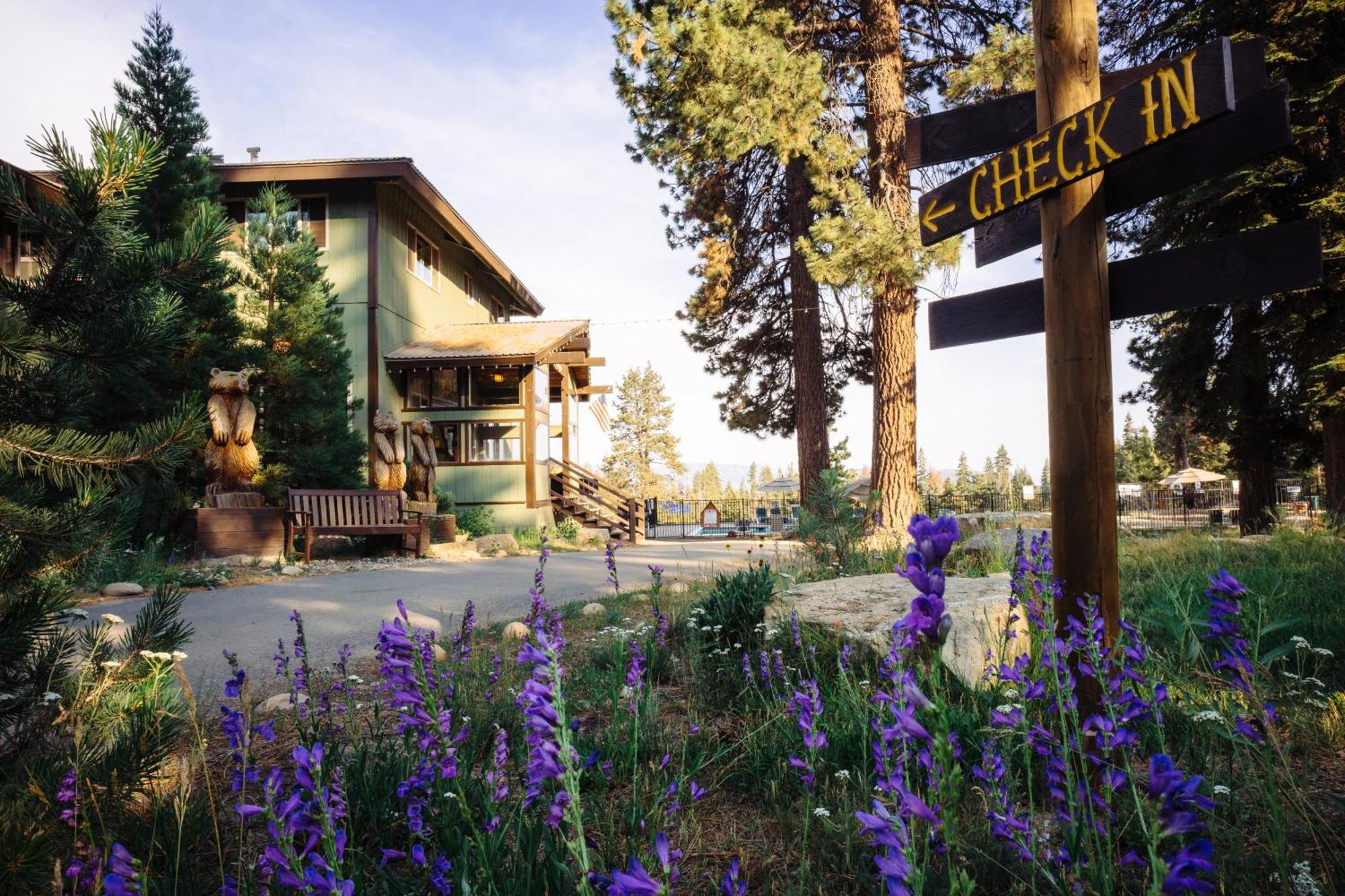 Montecito Sequoia Lodge Wilsonia Εξωτερικό φωτογραφία