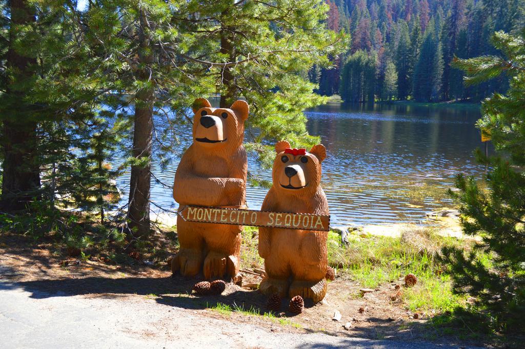 Montecito Sequoia Lodge Wilsonia Εξωτερικό φωτογραφία