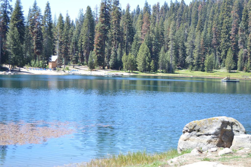 Montecito Sequoia Lodge Wilsonia Εξωτερικό φωτογραφία