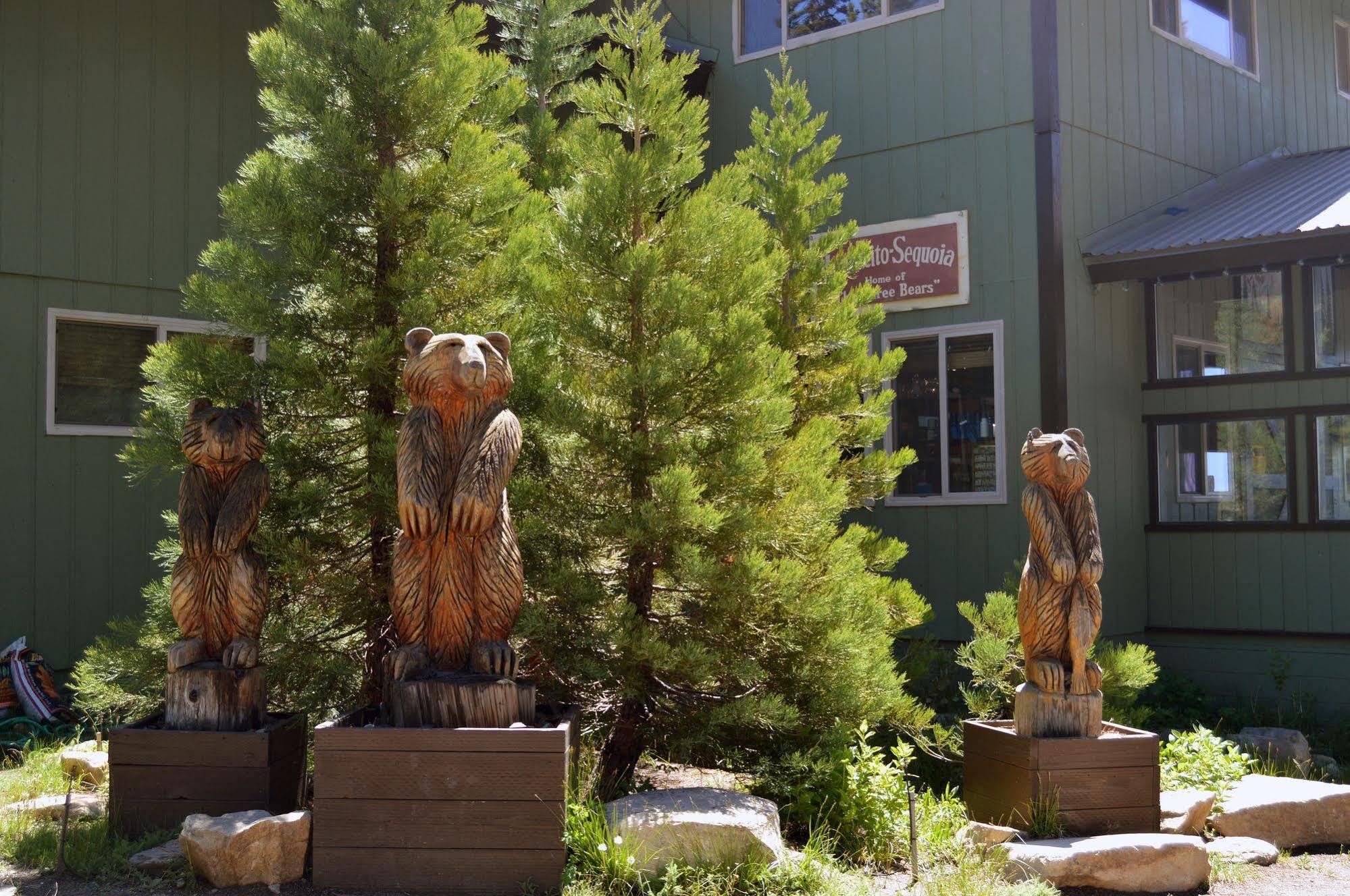 Montecito Sequoia Lodge Wilsonia Εξωτερικό φωτογραφία